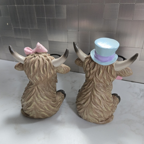 Highland Spring Cows - Picture 2 of 2